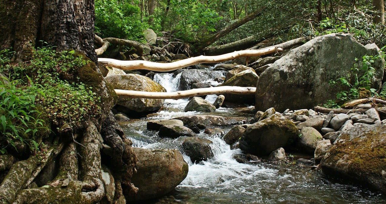 Rainy Day Activities in Gatlinburg