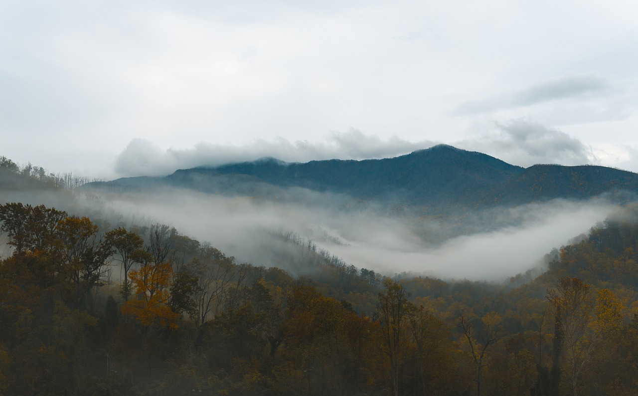A view of the Smoky Mountains in Winter