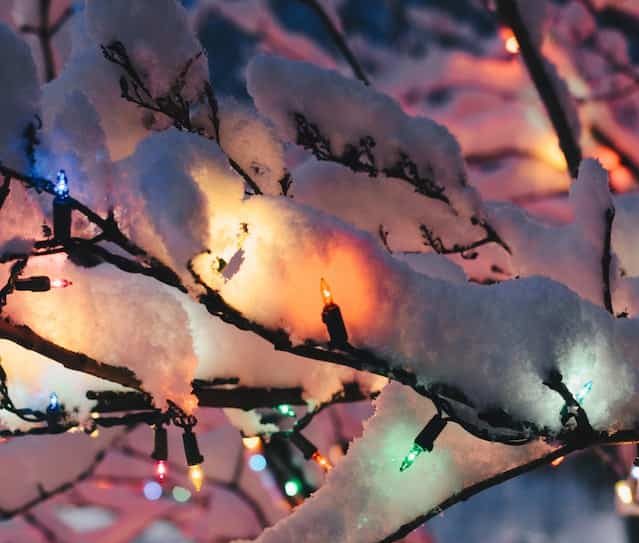 christmas tree in snow